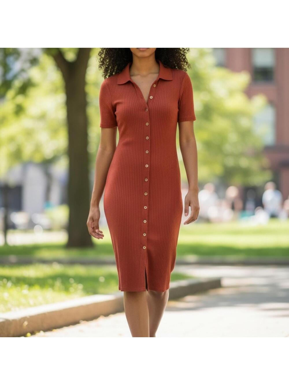 American Eagle Outfitters Terracotta Mini Dress 500